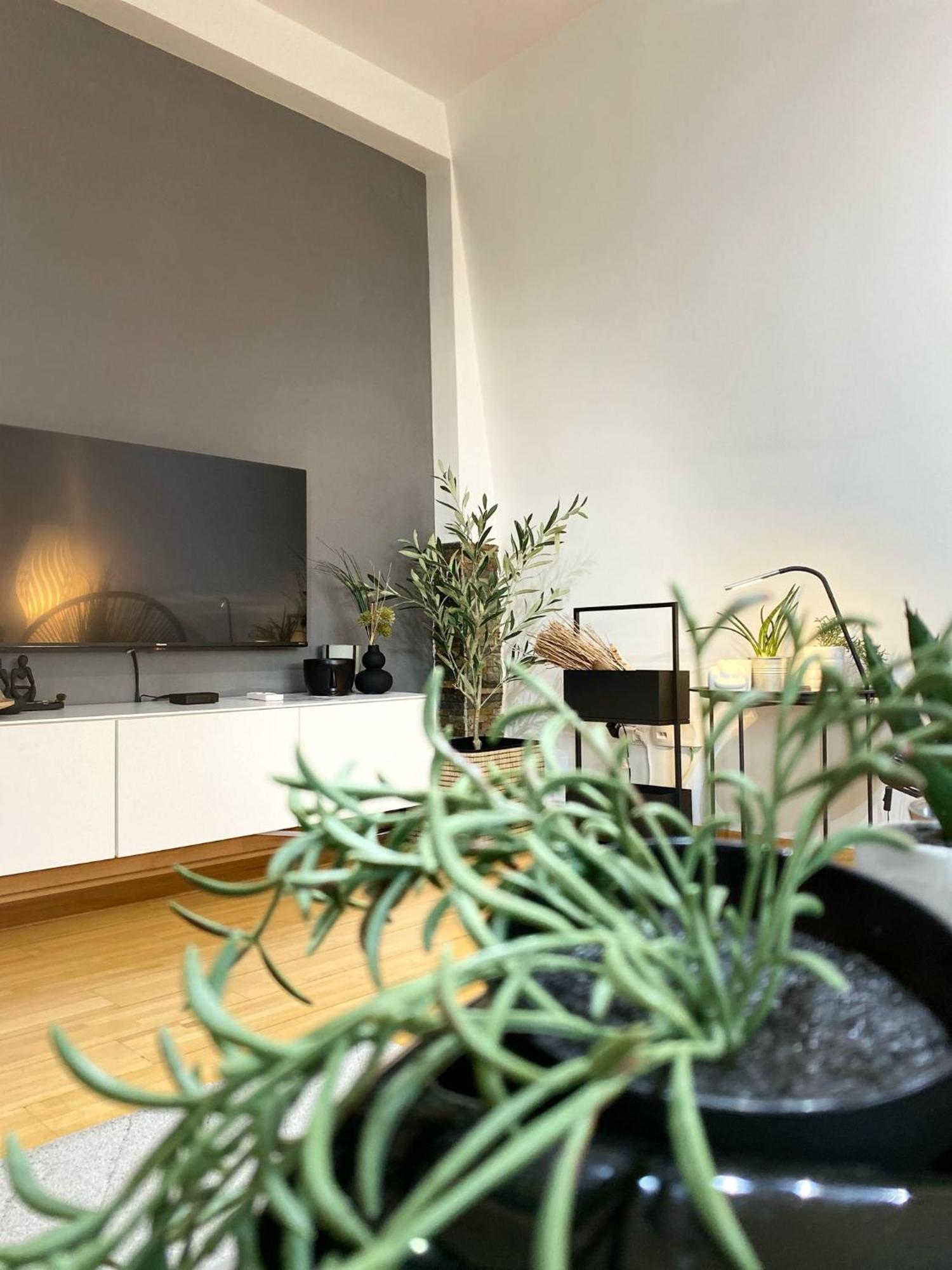 Apartman Riva كرالييفو المظهر الخارجي الصورة